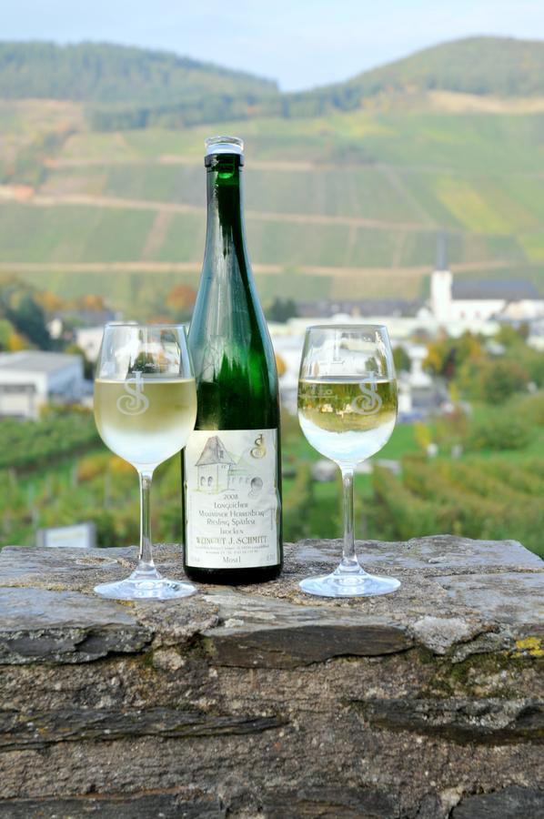 Gästehaus Wein im Turm Longuich Exterior foto